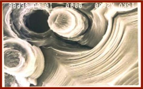 compositi carbonio forni alta temperatura compositi carbonio trattamenti termici